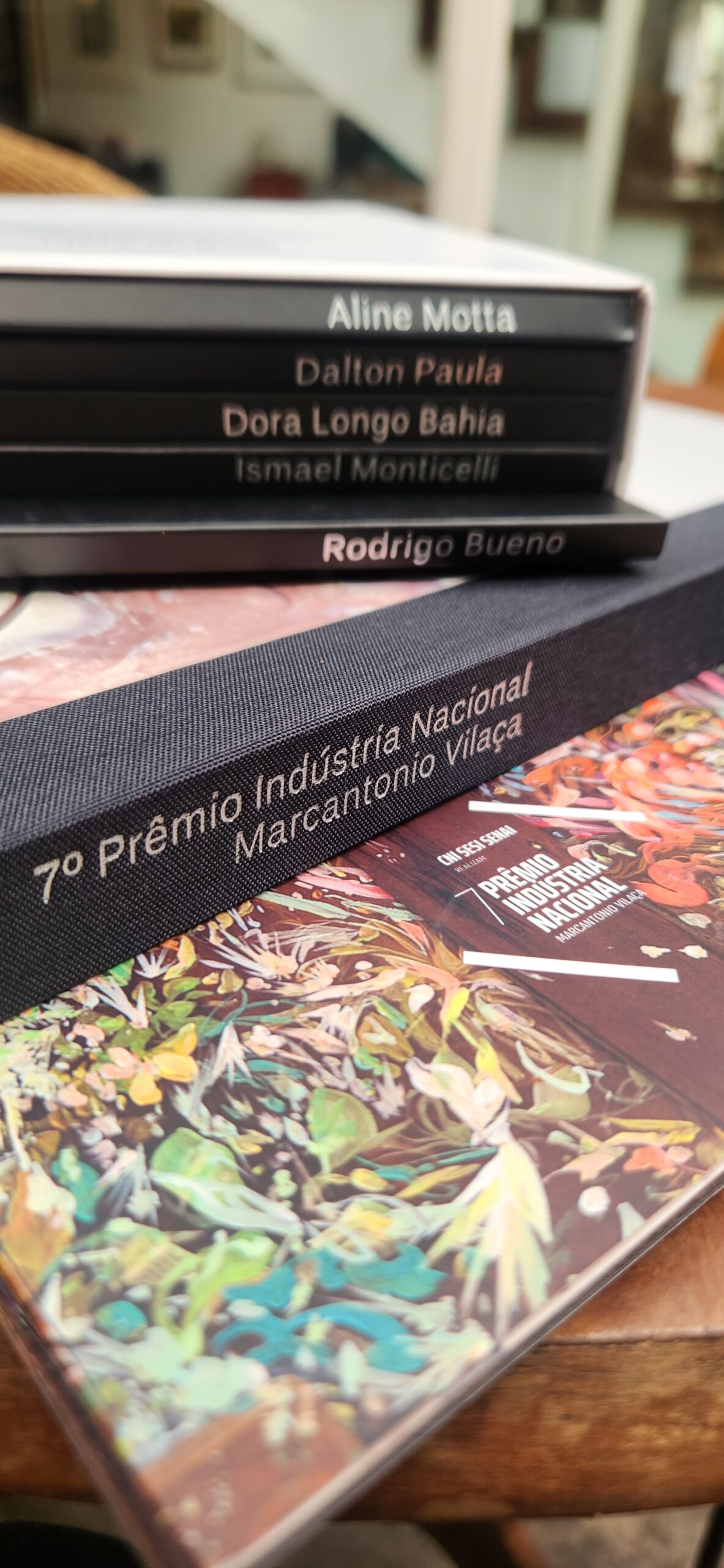 Baixe aqui o livro /catálogo Mata Adentro feito pelo 7prêmio Marco Antonio Vilaça